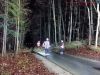 Baum auf Straße, Waldbrunn, 24.12.2022